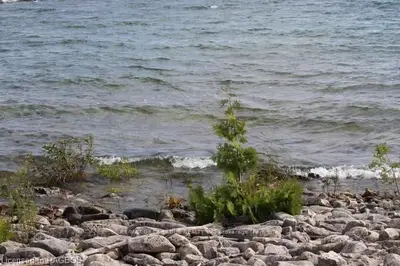 Part 22 Fox Trail, Northern Bruce Peninsula, On, N0h 1z0