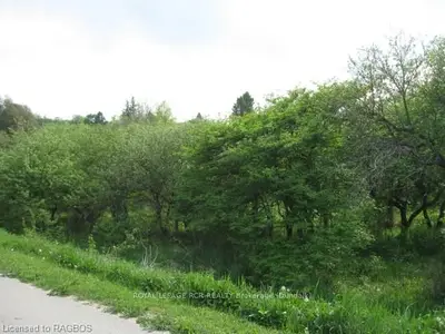 Part Lot 5, 6 & 7 Prince Street, Grey Highlands, On N0c 1k0