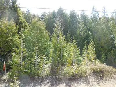 Part Lot 26 Miller Lake Road, Northern Bruce Peninsula, On N0h 1z0