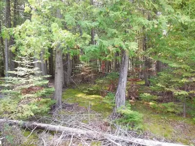 Part Lot 5 Whiskey Harbour Road, Northern Bruce Peninsula, On N0h 1w0