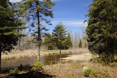 Pcl 22-1 Sec D21 Stokes Bay Road, Northern Bruce Peninsula, On N0h 1w0