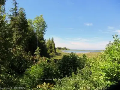 Lot 43 & 46 Widgeon Cove Road, Northern Bruce Peninsula, On N0h 2t0