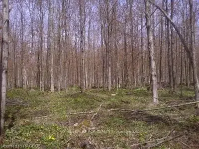 12 Cape Chin Road S, Northern Bruce Peninsula, On N0h 1z0