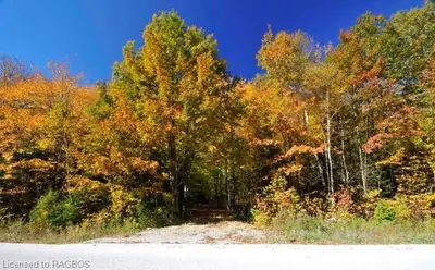 Lot 12 Maple Golf Crescent, Northern Bruce Peninsula, On N0h 2r0