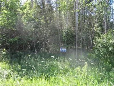 Part Lot 23 Grey Road 15, Meaford, On, N0h 2l0