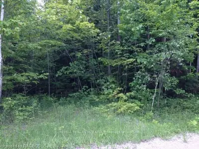 28 Mckague Road, Northern Bruce Peninsula, On N0h 1w0