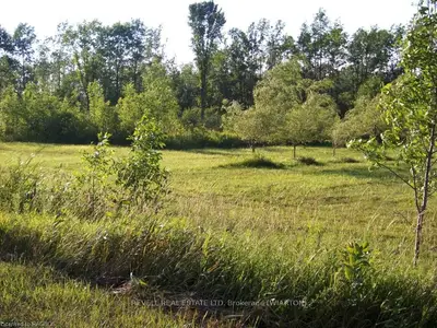 Part Lot 3, Part 2 Grey Road 17, Georgian Bluffs, On, N0h 2t0