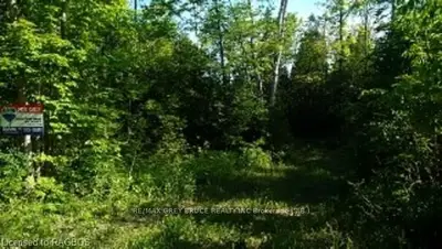 280 Centre Diagonal, South Bruce Peninsula, On, N0h 2t0