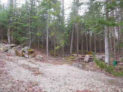 Part Lot 20 Mckague Road, Northern Bruce Peninsula, On N0h 1w0
