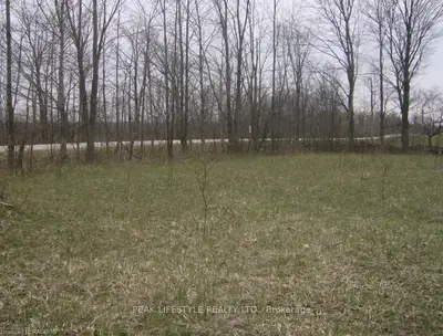 Part Lot 27 Concession 2 Egr, Chatsworth, On, N0h 1g0