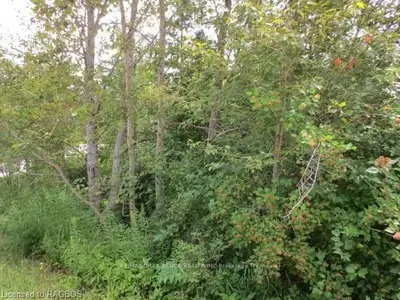 Lot 9 Gard Street, Northern Bruce Peninsula, On N0h 1w0