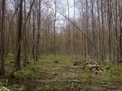 Part Lot 20 Grey Road 1, Georgian Bluffs, On, N0h 2t0