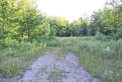 Part Lot 20 Grey Road 17, Georgian Bluffs, On, N0h 2t0