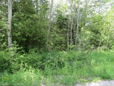 Part Lot 35 Molly Street, Northern Bruce Peninsula, On N0h 2m0