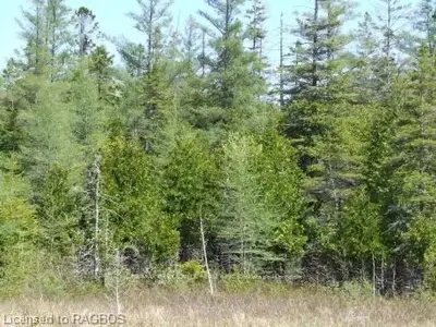 22 Pike Bay Road, Northern Bruce Peninsula, On N0h 2x0