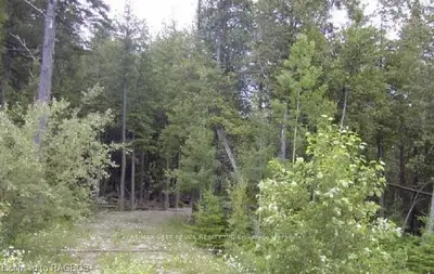 43 Braun Crescent, Northern Bruce Peninsula, On N0h 1w0