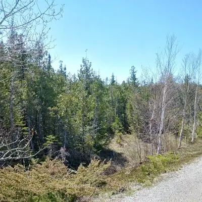 Lot 17 Bay Shore Avenue S, Northern Bruce Peninsula, On N0h 2r0