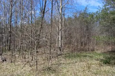 Lot 72 Maple Drive, Northern Bruce Peninsula, On N0h 1z0