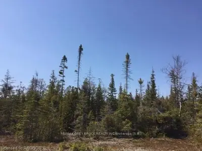 Part Lot 1 Old Pine Tree Harbour Road, Northern Bruce Peninsula, On N0h 1z0