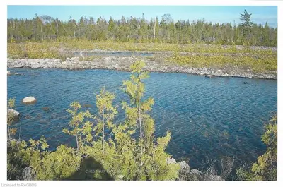 118 Pedwell Point Drive, Northern Bruce Peninsula, On N0h 2r0