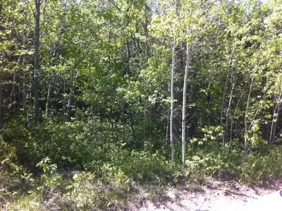 Lot 166 13th Avenue, South Bruce Peninsula, On N0h 2t0