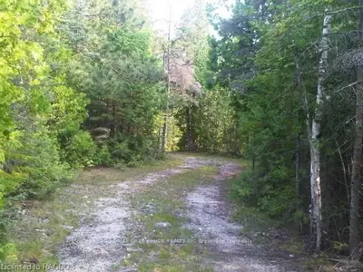 Lot 20 White Cedar Road, Northern Bruce Peninsula, On N0h 1z0