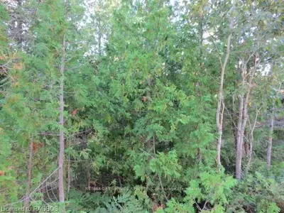 Part 17 White Cedar Road, Northern Bruce Peninsula, On N0h 1z0