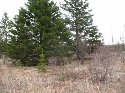 124274 Southgate Road 12, Southgate, On, N0g 2l0