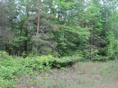 647 Sixth Street N, South Bruce Peninsula, On N0h 2g0