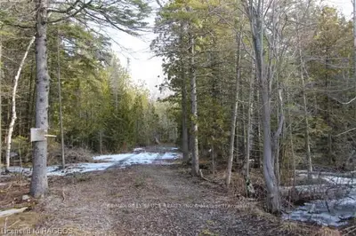 Lot 33 White Cedar Road, Northern Bruce Peninsula, On N0h 1z0