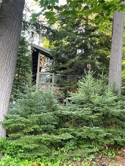 1129 DETTMAN Drive, Highlands East, ON K0L 1C0