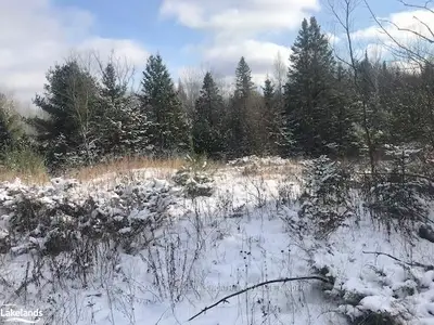 1207 HOSPITALITY Road, Minden Hills, ON K0M 2K0