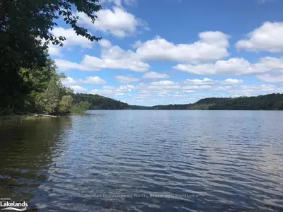 LOT 5 TOM THOMPSON Trail, Lake of Bays, ON P0A 1H0