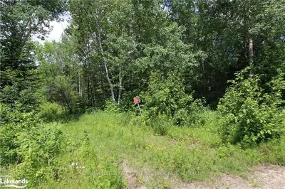 0 SUNNYSIDE Road PT 3, Bonfield, ON P0H 1E0