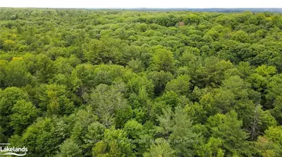 11 WALKERS POINT Road, Muskoka Lakes, ON P1P 1R2