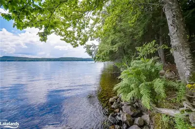 0 MAPLEHURST Drive, Lake of Bays, ON P1H 2J6