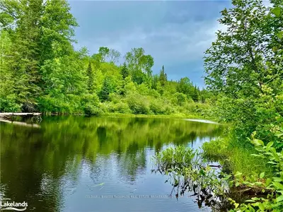 AA EAST Side Road, Parry Sound Remote Area, ON P0H 1Y0