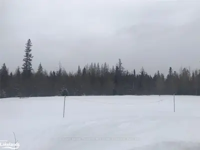 0 BEACHY Drive, Parry Sound Remote Area, ON P0H 2L0