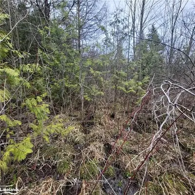 0 STOKES BAY Road PL D20, Northern Bruce Peninsula, ON N0H 1W0