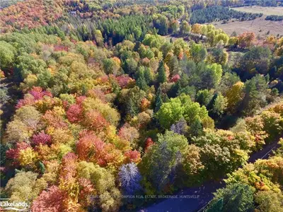 0 DOE LAKE Road, Armour, ON P0A 1Y0
