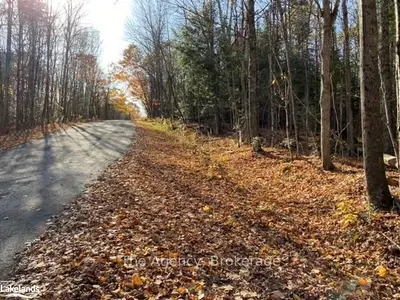 B-1433 Wigamog Road, Minden Hills, On K0m 1s0