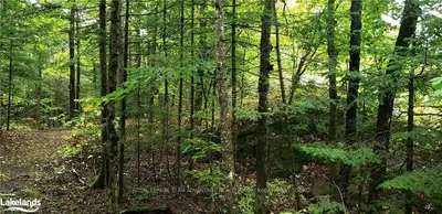 217 SHEBESHEKONG Road, Carling, ON P0G 1G0