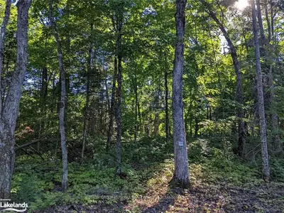 LOT 11 WINFIELD Court, Huntsville, ON P0B 1M0
