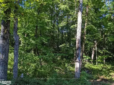 LOT 20 WINFIELD Court, Huntsville, ON P0B 1M0