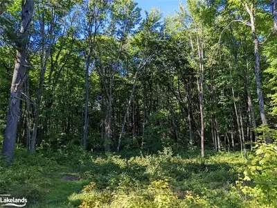 LOT 16 WINFIELD Court, Huntsville, ON P0B 1M0