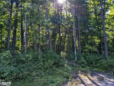 LOT 14 WINFIELD Court, Huntsville, ON P0B 1M0