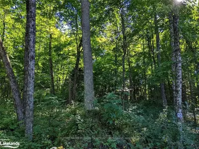LOT 13 WINFIELD Court, Huntsville, ON P0B 1M0