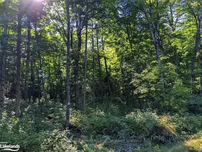 LOT 12 WINFIELD Court, Huntsville, ON P0B 1M0