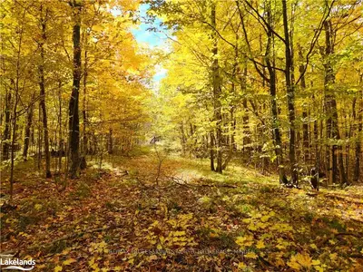 0 LITTLE BOB LAKE Road, Minden Hills, ON K0M 2K0