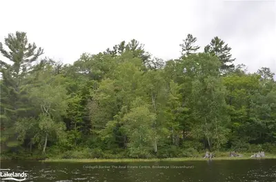 N. OF 12091 RAVEN - MONA, Algonquin Highlands, ON, P0A 1E0